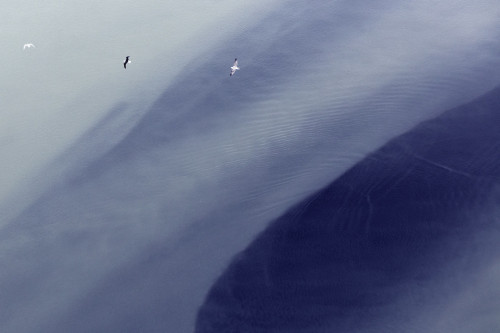 bobbycaputo:Abstract Iceland From Above By Zack Seckler