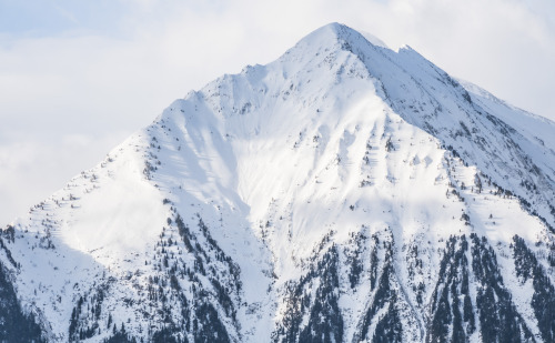 pyrenees