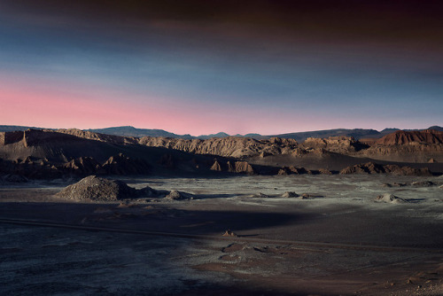 nevver:  The Forbidden Zone, Studio Conci