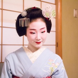 geisha-kai:  July 2017: maiko Toshiemi with a big summer fan kanzashi by   woodstemple on Instagram  ༼ つ ◕◡◕ ༽つ  Geisha-kai on P a t r e o n || Instagram   