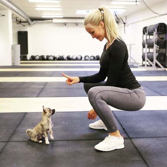 yogapantsfeed:  Lucky pup