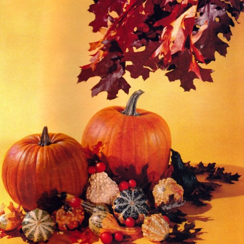 hallowthings:  Halloween &amp; Thanksgiving Aesthetic- Ideals Magazine