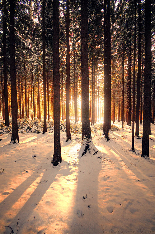 mirrorwave13:  Afternoon Glow by MarcoHeisler