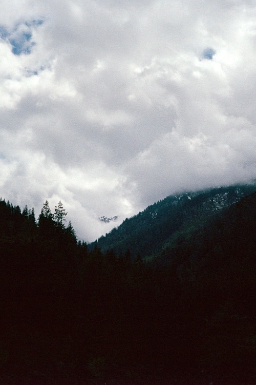 be-a-serial-killer:  vintage paradise 