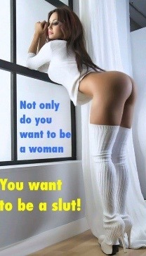 mistressminette:  Entertaining Sissy Captions