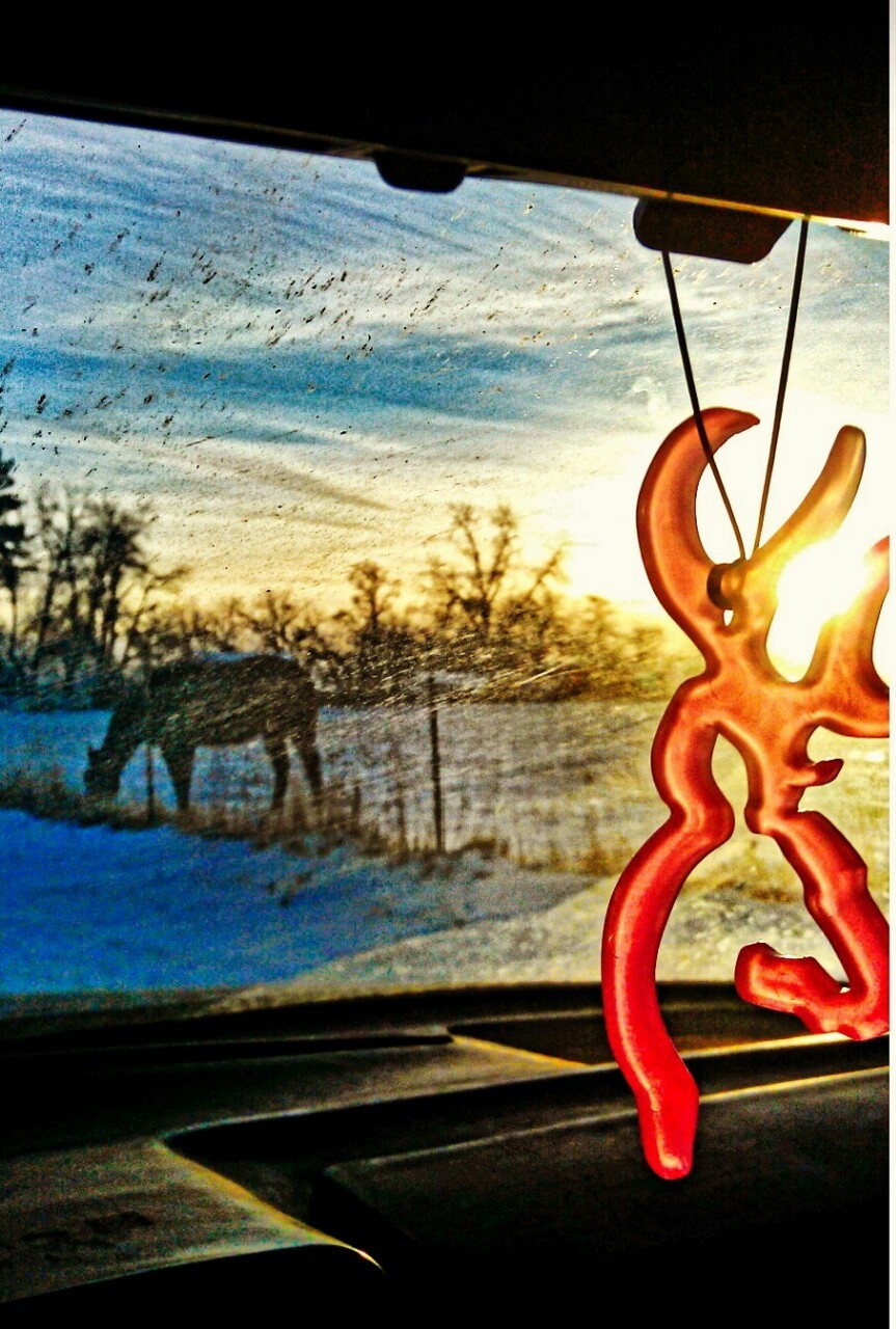 way up north