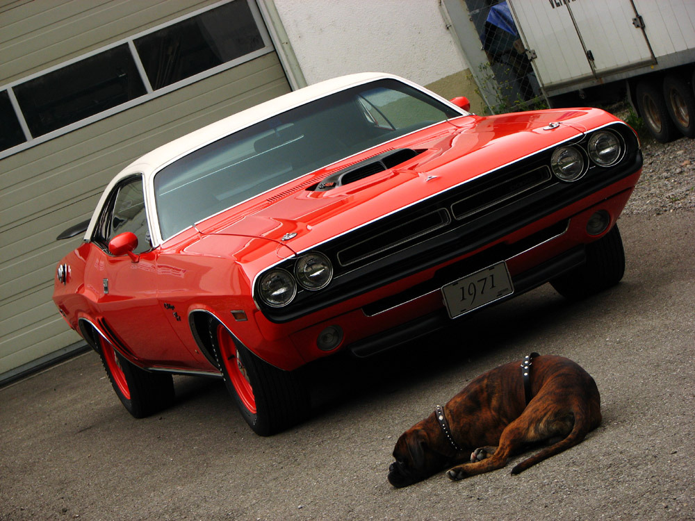 HOT RODZ & PINUPS