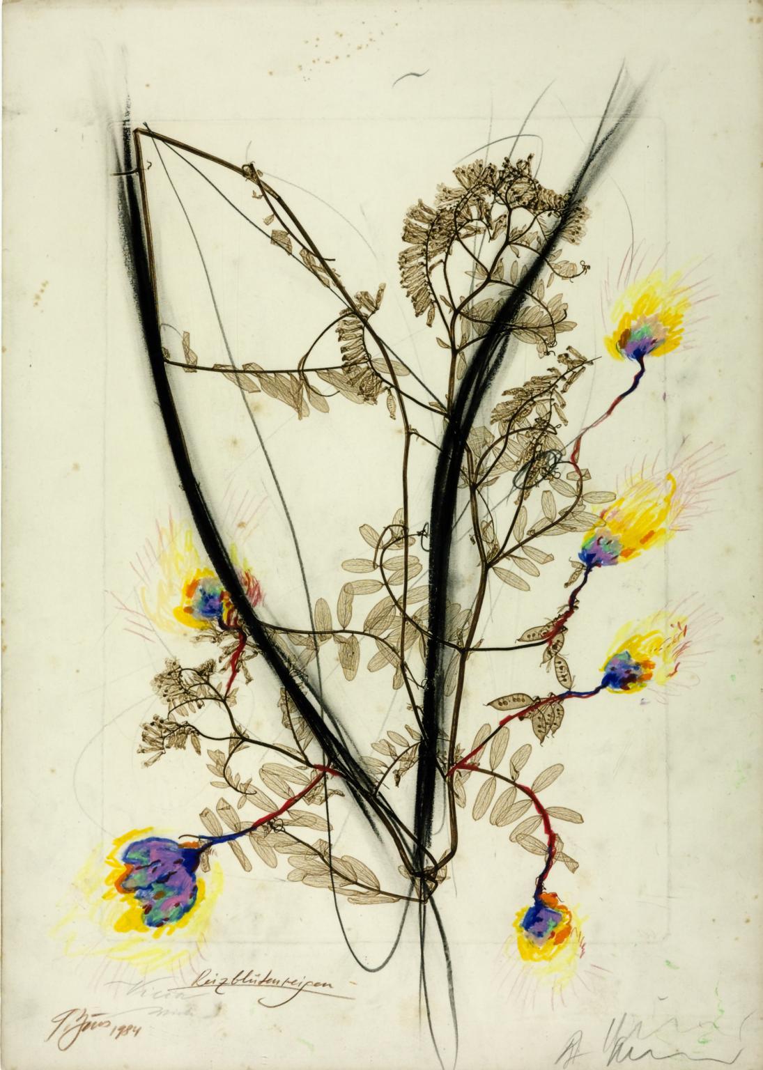dappledwithshadow: Günter Brus, Arnulf RainerCharm - Flower - Ring1984