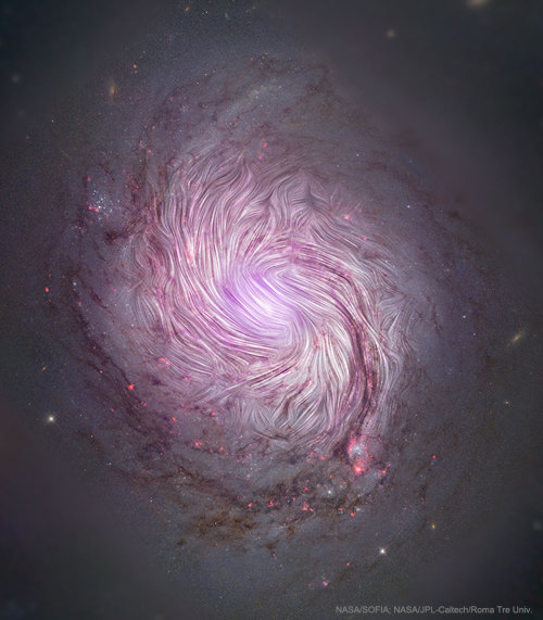 just–space:The Magnetic Fields of Spiral Galaxy M77: Can magnetic fields help tell us how spiral gal