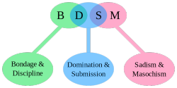 dare-master:  Definition of BDSM 