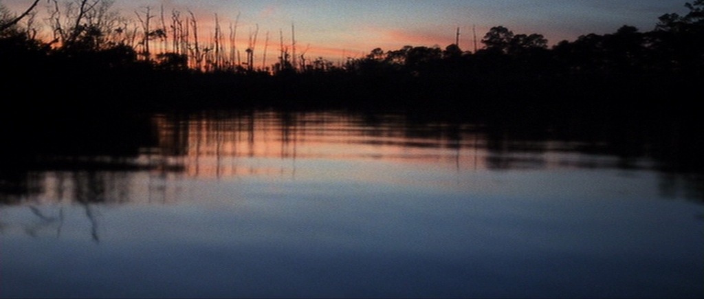 barricklovesmovies:Cape Fear (1991)dir. Martin adult photos