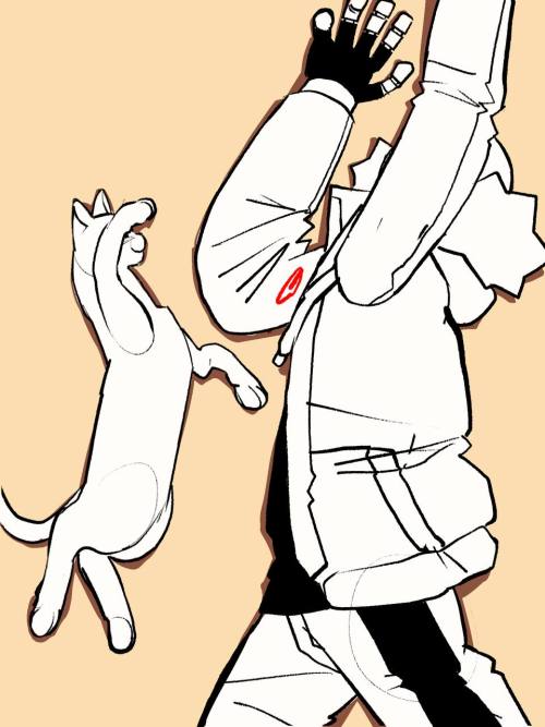A Cat Copying Another Cat