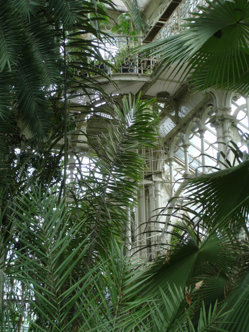 oviz:The Palmenhaus Schönbrunn, Vienna, Austria