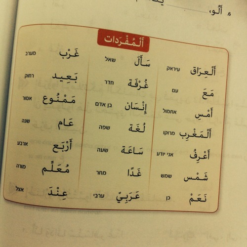 Just some Arabic vocab from an Israeli kids&rsquo; textbook. 20% of the country and this languag