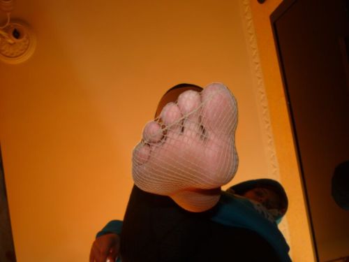 Feet & Foot