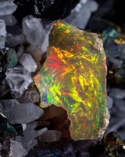 unearthedgemstones:  Out-of-the-world beauty from @cosmicopals 🌈🌈🌈 #opal #opals #rainbow #rainbowcolors #ohmygosh #toopretty #outofthisworld #gemstonecrystal #gemstone #mineral #crystal #gemstones #gem #mineralogy #naturalbeauty #minerals #crystals