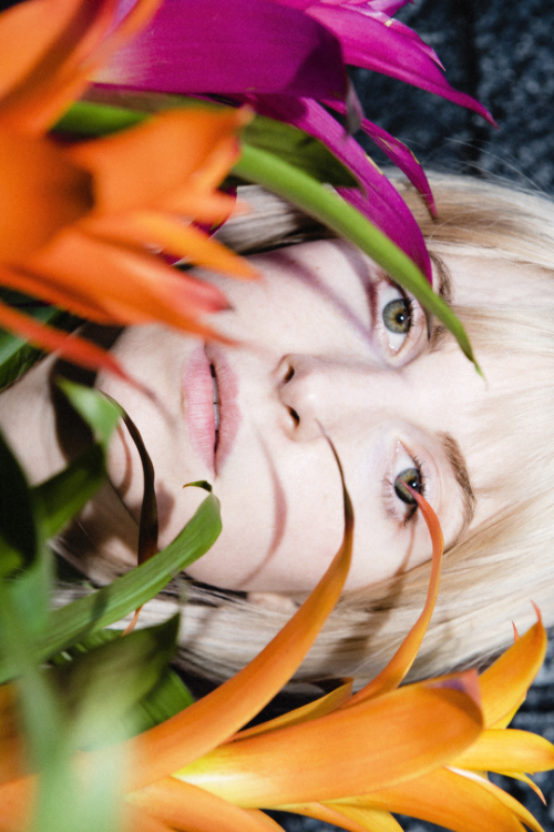 dailywilliams:PETALS FOR ARMOR. Promotional Shoot &gt; PH. Lindsey Byrnes.