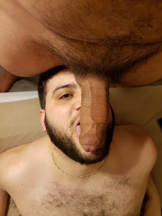 Husky cub worships huge cock with blowjob porn pictures