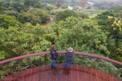 architags:  Boomslang. Treetop Walk. Mark Thomas Architects + Henry Fagan &amp; Partners. Cape Town- Kirstenbosch Botanical Gardens. source: archdaily photos &copy; Adam Harrower
