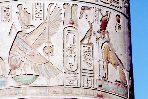 henriplantagenet-deactivated201:Detail of the Temple of Kom Ombo, Egypt.