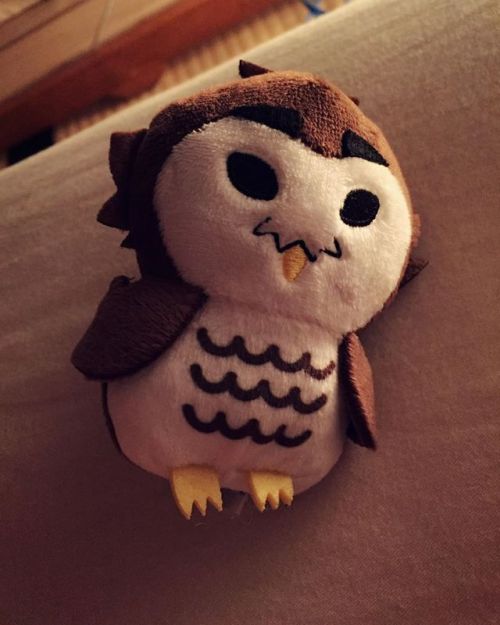 Aaaahhhh!Guys…i bought this Owl plushie in Japan and i love it soooo damn much!!! Do you reco