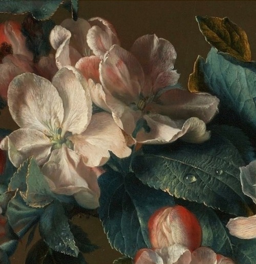 keirabisexual: Bouquet of Flowers in a Terracotta Vase (detail) 1722. Jan van Huysum (Dutch, 1682 - 