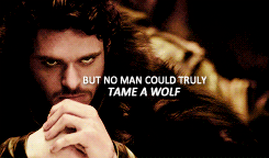 They call him ‘the young wolf’. They say he rides into battle on the back of