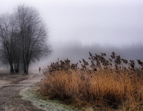 thecygnetcommittee:fravery: November Fog (November 18, 2007) by Kai Krog Halse (Norwegian photograph