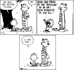 inceaselessmotion:  tastefullyoffensive:  [calvinandhobbes]  Calvin is straight up about this stuff 