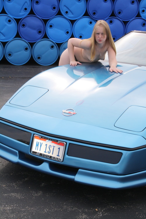 Corvettes & Silhouettes