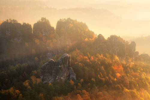 Dreaming of Autumn by Daniel Gastager