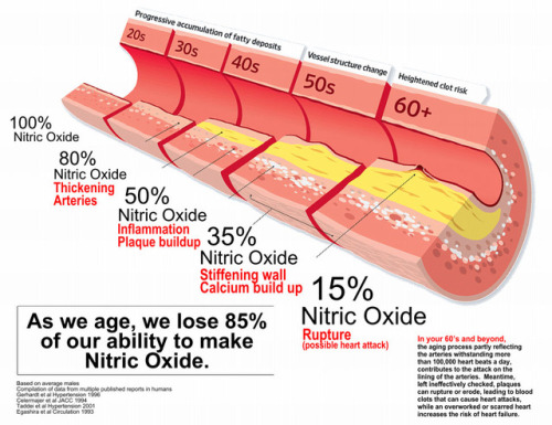 ahealthblog:Nitric Oxide Infographic ➡ www.ahealthblog.com/exercise-protects-the-heart-from-i