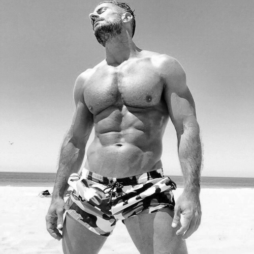 Adonis Files