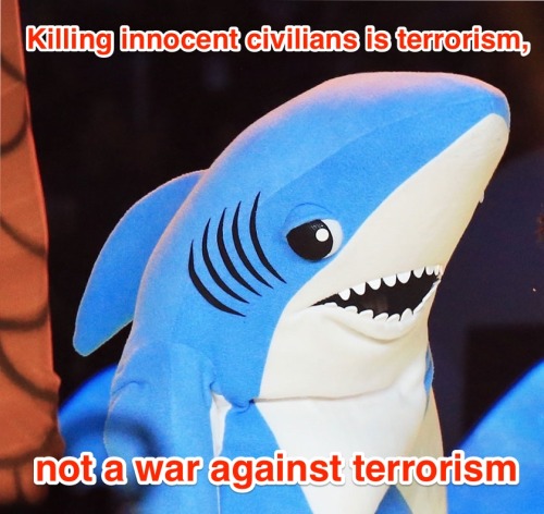 boingboing:#Leftistshark: Katy Perry’s Super Bowl Left Shark plus Noam Chomsky quotes