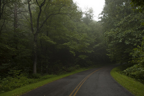 Blue Ridge Parkway and Fog by kentwill on Flickr.