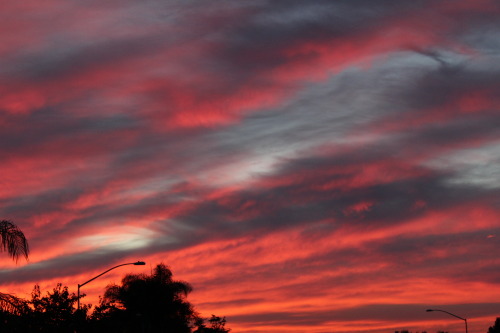 Some photos I took a week or two ago.The sky turns this amazing cotton candy color and I just can&rs