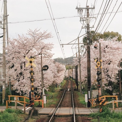 Porn tokyoki:by bombyul photos