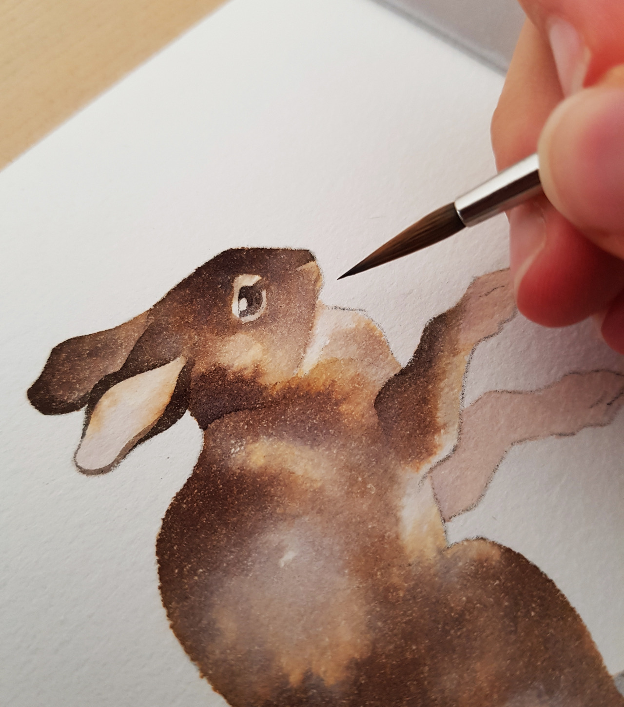 rozenn-blog: Little bunny wip 🐇✨ Commission for TheSirThomas on twitter! 