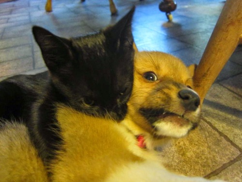 &ldquo;Pardon Me, But Your Teeth Are in My Neck&hellip;&rdquo;