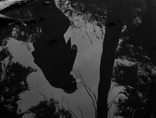 meshesoffilm:wild strawberries