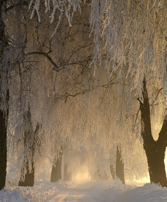our-amazing-world:  By: Marek Jedzer Fr Amazing World 