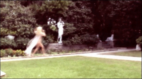 starsgifsgifs:  pam anderson