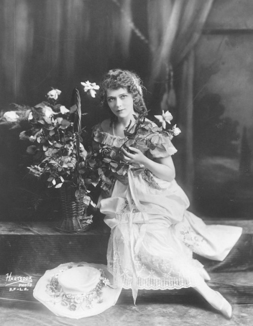 jeannecrains:Mary Pickford photographed by Fred Hartsook, 1918