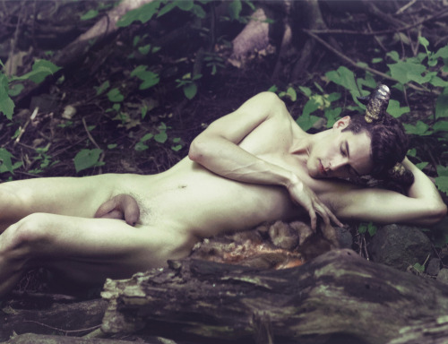 menartphotography:FAUNTASIA by Mikel Marton