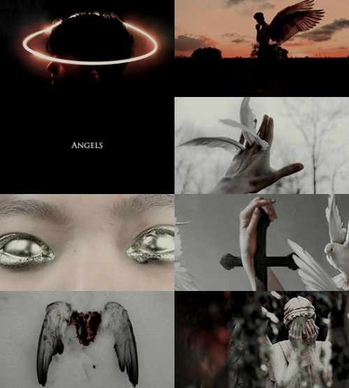 ibuzoo:A - Z Myth AestheticsA - Angels