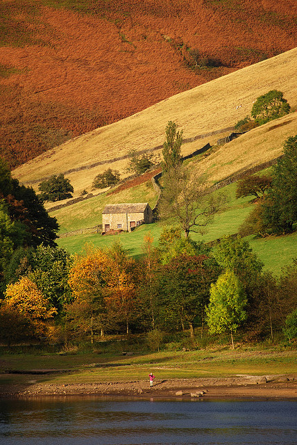 my-british-blog:  Watching being watched by Keartona Derwent, Derbyshire, England