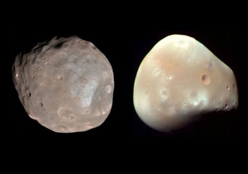 The two small moons of Mars: Phobos and DeimosImage Credit: NASA/JPL-Caltech/University of Arizona