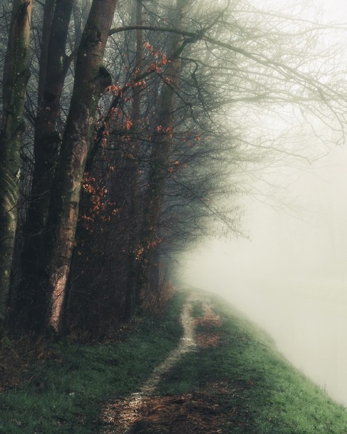 ingmvr:Moody morning