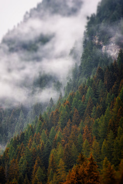 moody-nature: Cloudy Mountain Side | By Fasox