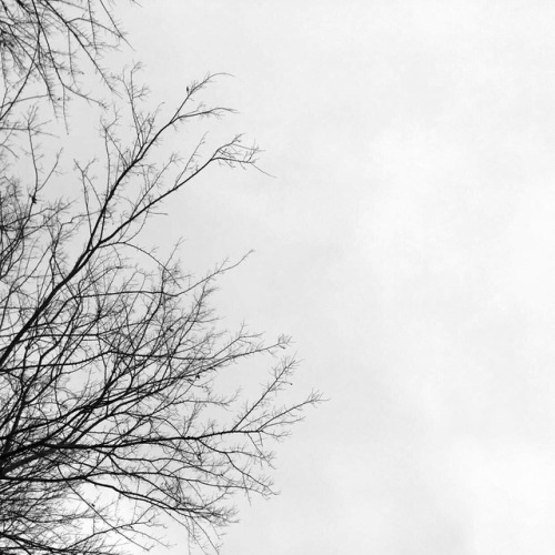 hayleylkiyoko-moved:1:09pm new year’s eve